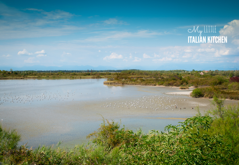 The Marano lagoon, where nature is totally unspoilt