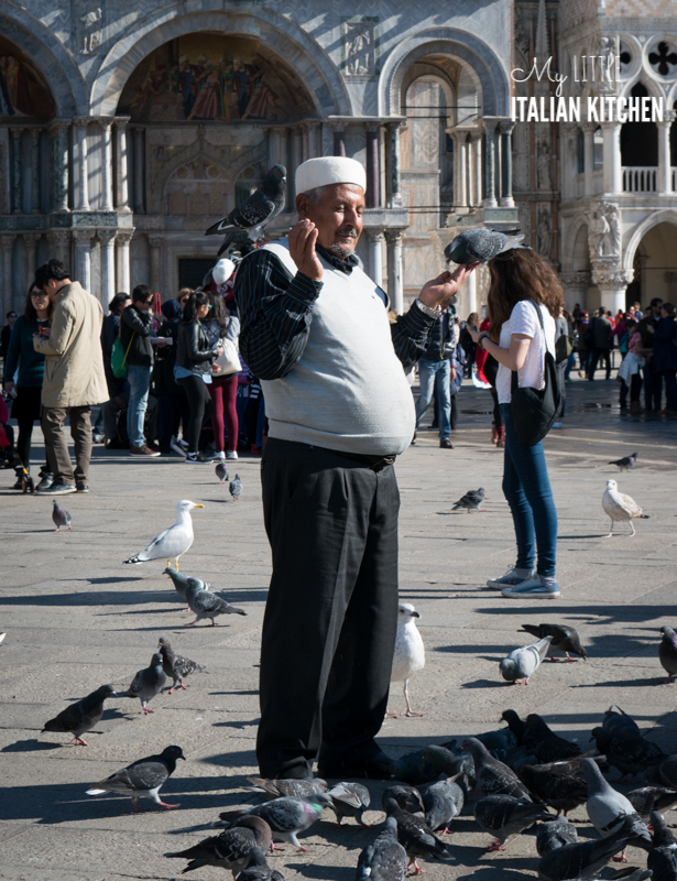 Pigeons on St. Marks Square in Venice 