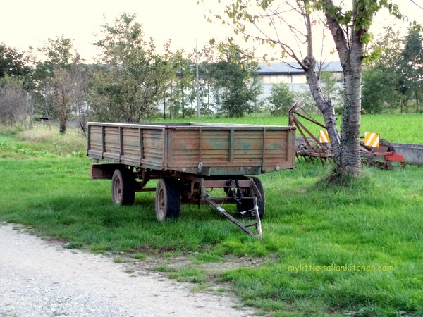 Truck at the farm 